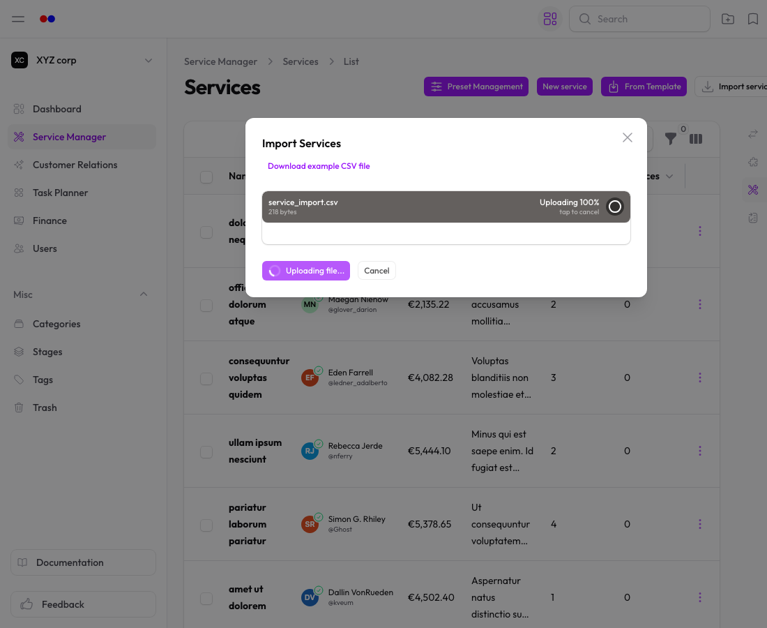 Import preview and confirm step